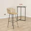 Deloris Counter Stool with Metal Frame