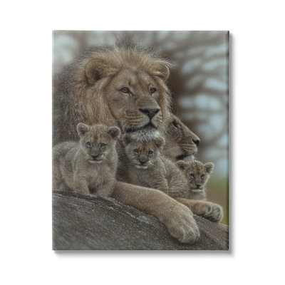 " King Lion Baby Cubs Wild Safari Animal Family " Acrylic Print