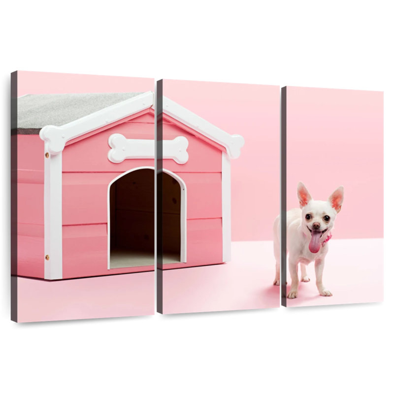 Chihuahua Brampt, H 24 po x l 38 po