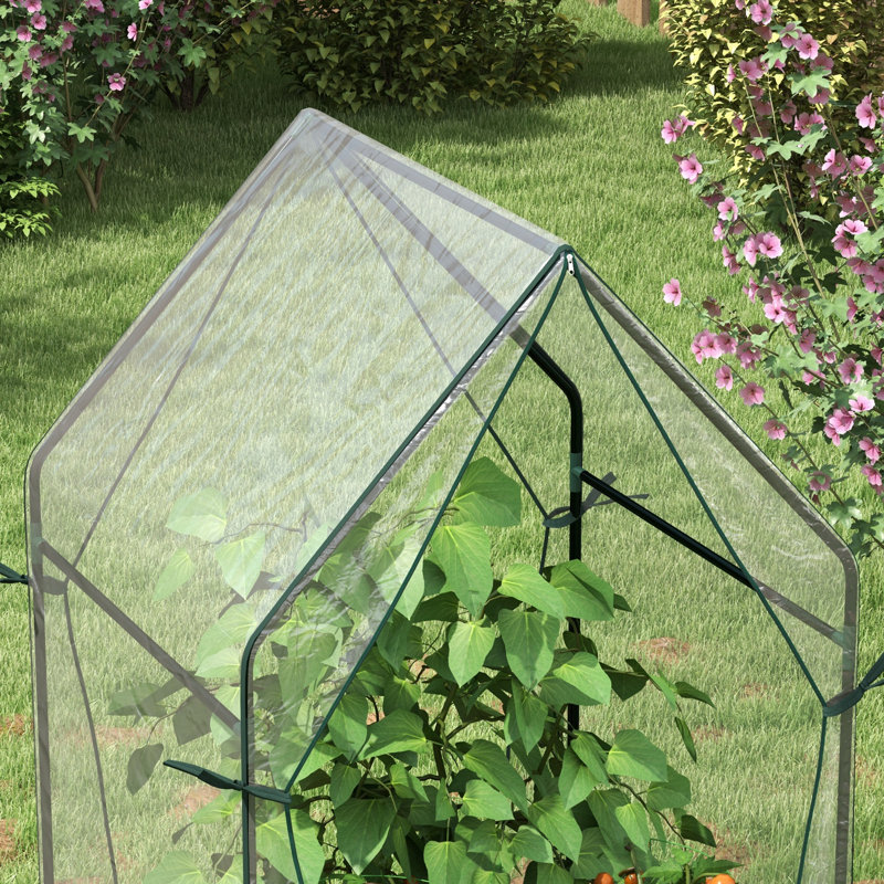 Fenra Mini Greenhouse with Durable Plastic Cover, Sturdy Steel Frame