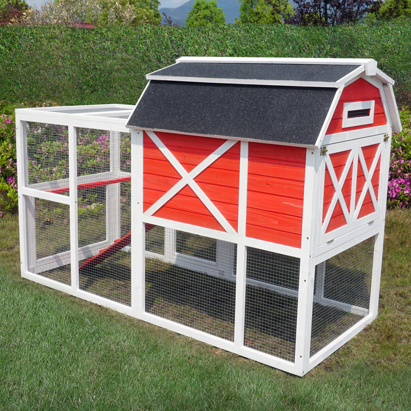 Stough 18.60 Square Feet Chicken Coop with Chicken Run For Up To 6 Chickens