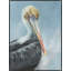 Feathers I Print by Ann Duffy-1173892178