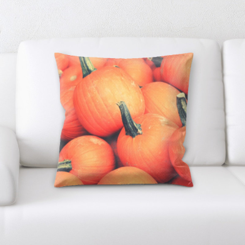 Coussin pour aliments Lang