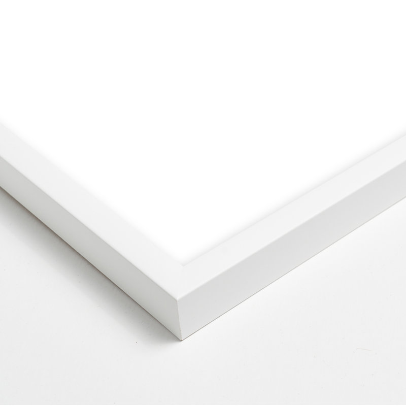 Element. Set Of 2 Print by Michael Kempen, 25"H x 20"W x 1.25"D, White Framed
