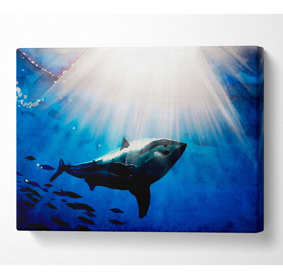 Shark In A Blaze Of Sunlight - Kunstdrucke auf Leinwand