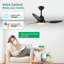 Ventilateur de plafond intelligent 42 "avec lumières