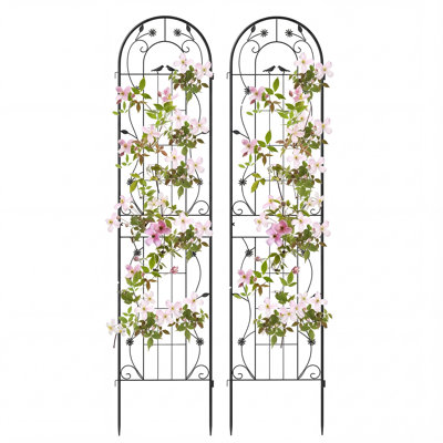 Metal Arched Trellis