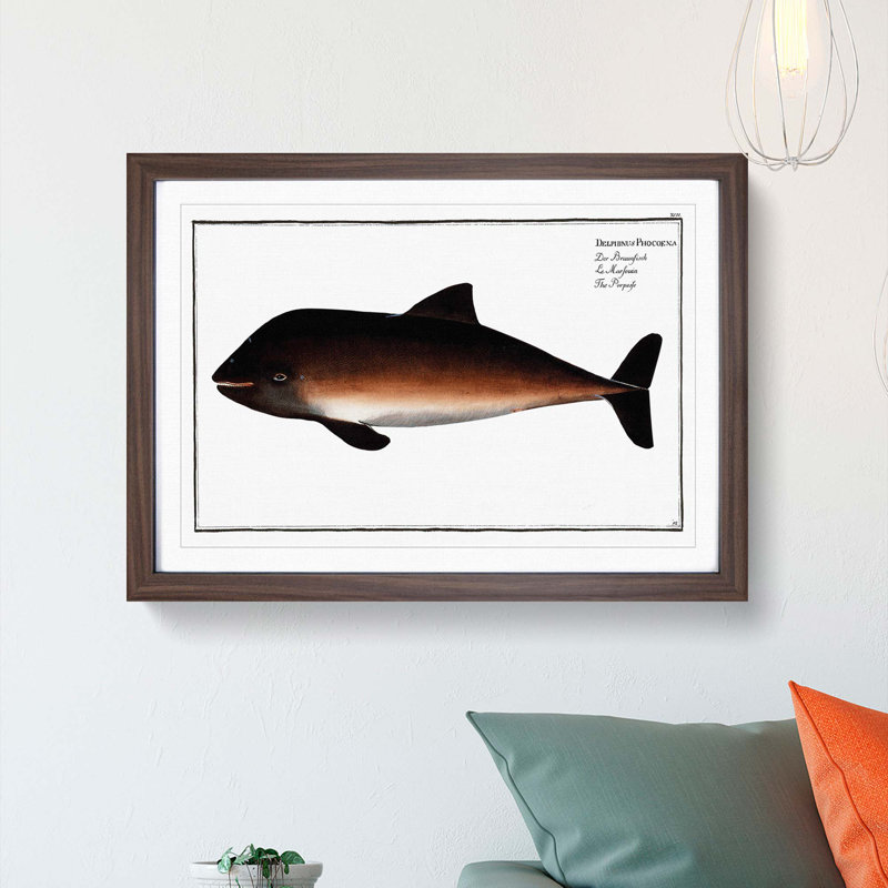 Porpoise by M.E. Bloch - Picture Frame Painting Print, 36cm H x 48cm W x 2cm D, Walnut Framed