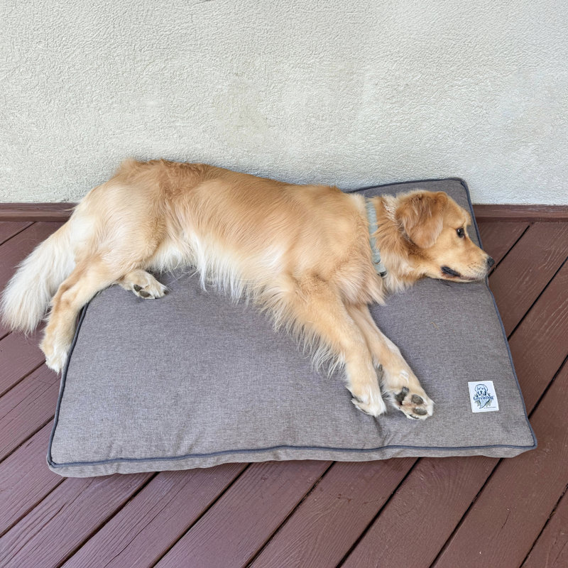 Lit pour chien avec housse amovible GreenDog Luxe Neutral Pet Napper , Gris clair, Grand (l 42 po x P 30 po x H 4 po)