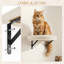 Cat Tree-373994114