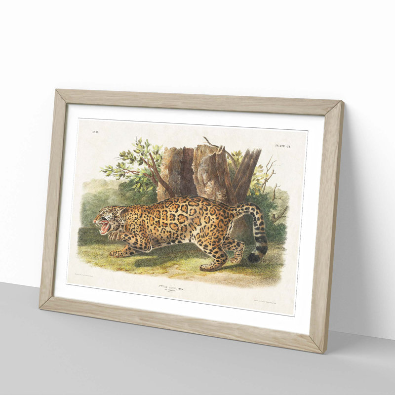 Jaguar by J.W. Audubon - Framed Print, 48cm H x 65cm W x 2cm D, Oak Framed