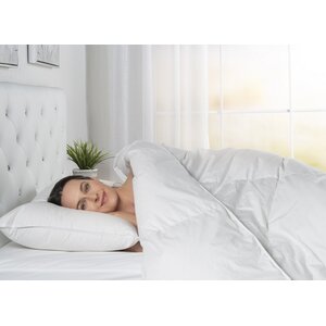 ComfyDown Goose Down Comforter 100% Egyptian Cotton 600 Thread Count ...