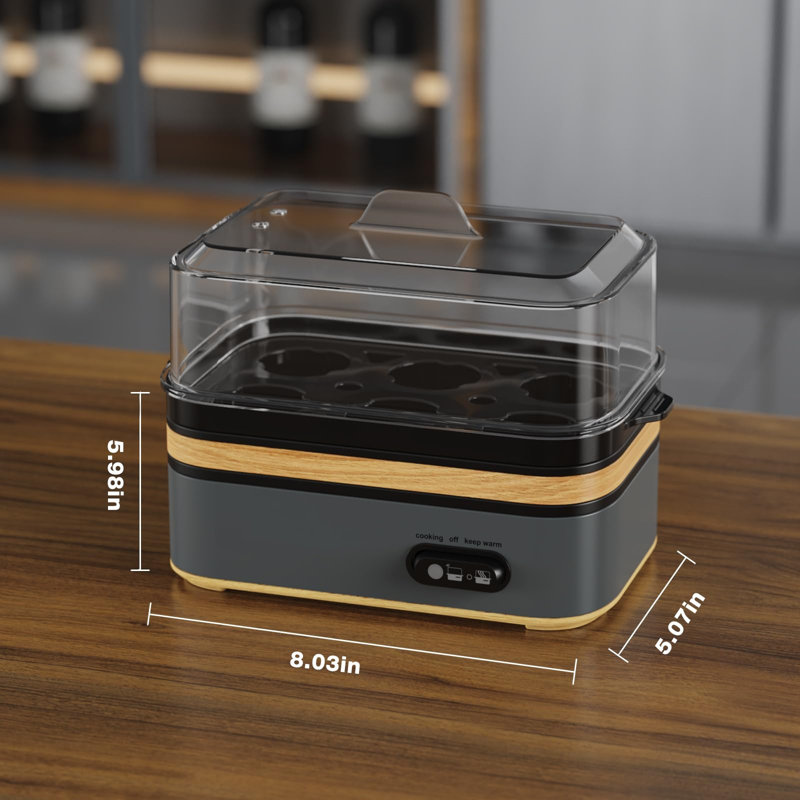 Capacité de 6 œufs de la cuisinière électrique rapide, Noir