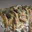 Chalcopyrite Over Calcite