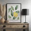 «Lemon Tree» par Susan Ball, reproduction d'art-982788825-982788827-982788837