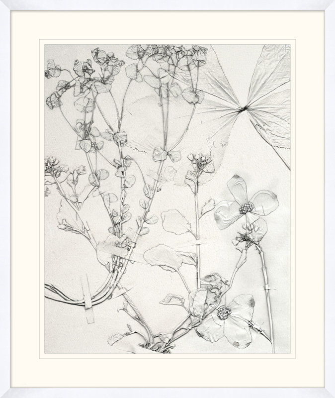 Painted Pressed Floral 5 - Peinture encadrée sur papier