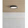 Finch 1 - Light LED Flush Mount