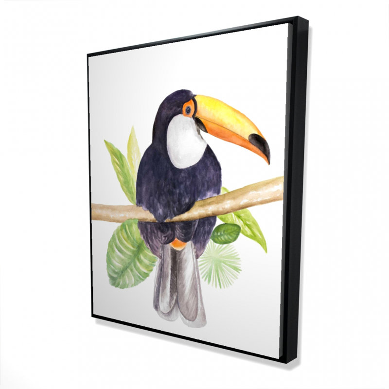 " Toucan "