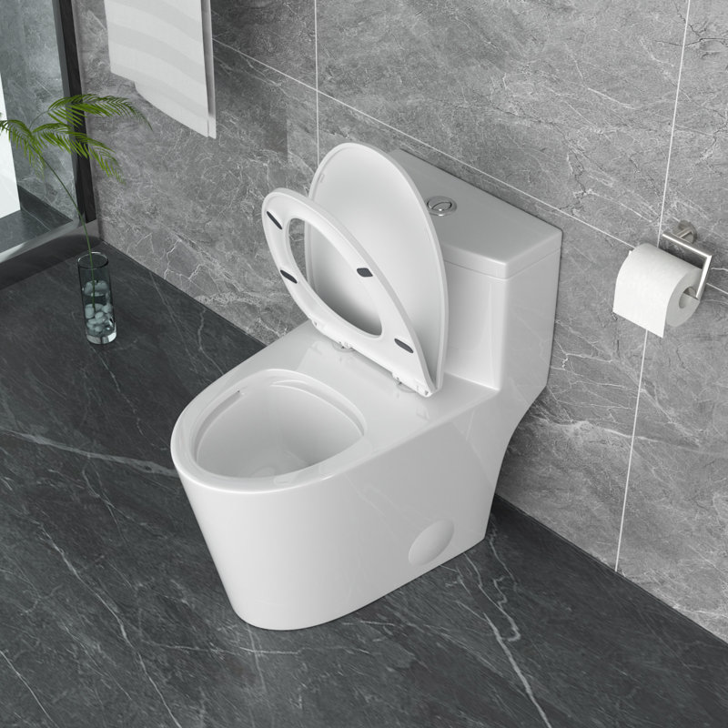Toilette allongée monobloc 1,1 / 1,6 GPF à double chasse 12 po