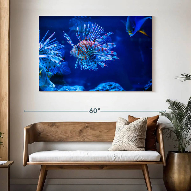 Poisson-lion aquarium Brampt, H 32 po x l 48 po
