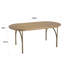 Arpita Poplar Oval Wood Top Dining Table with Iron Base-1305124996