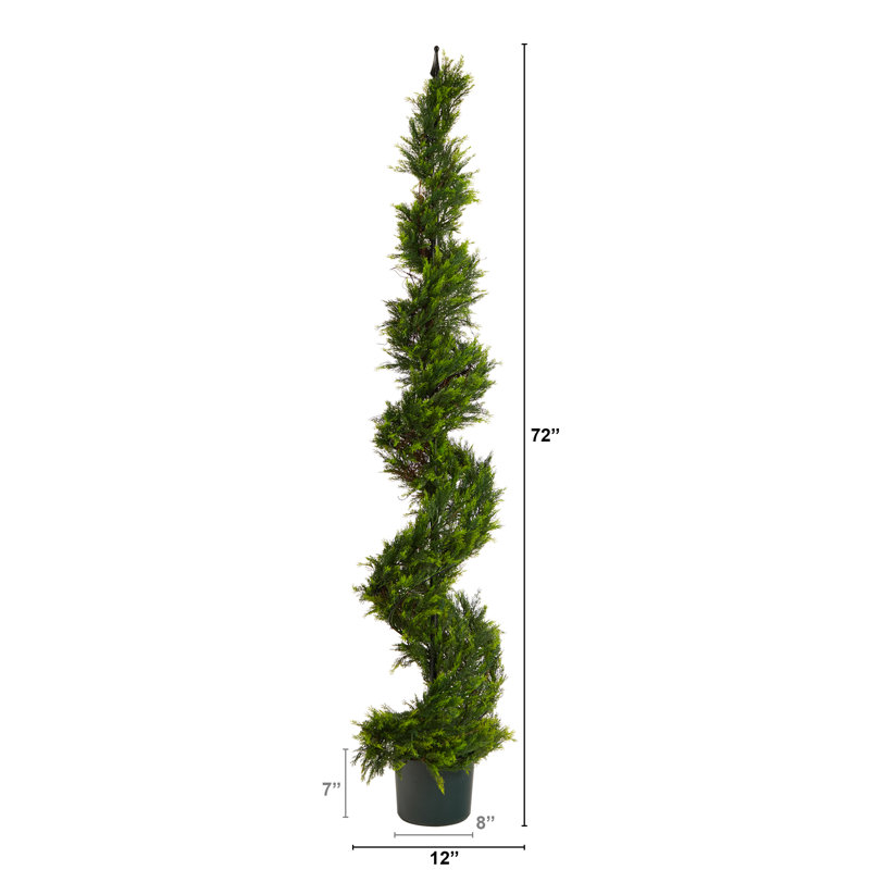Tree in Pot Liner