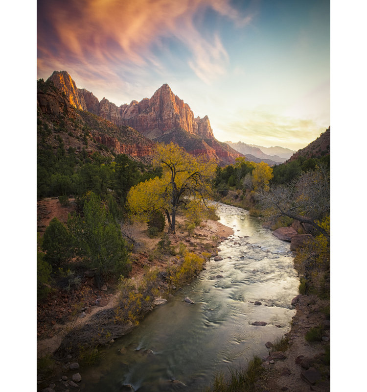 Wrapped Canvas Print