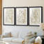Relié I - reproduction encadrée sur mesure de qualité supérieure mate - 3 pièces-1194417029-1194417028