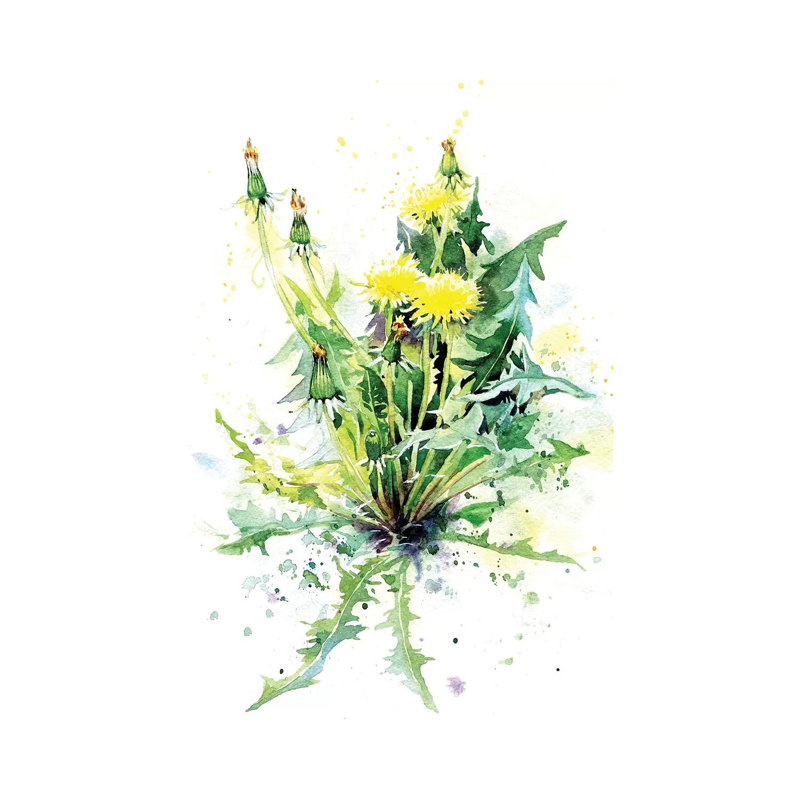 Dandelion by Marina Ignatova - Wrapped Canvas Painting, 101.6 cm H x 66.04 cm W x 1.91 cm D