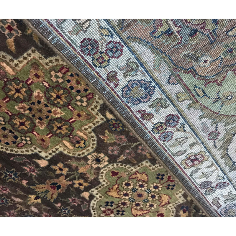 Lamani Wool Oriental Area Rug in Brown/Ivory/Green