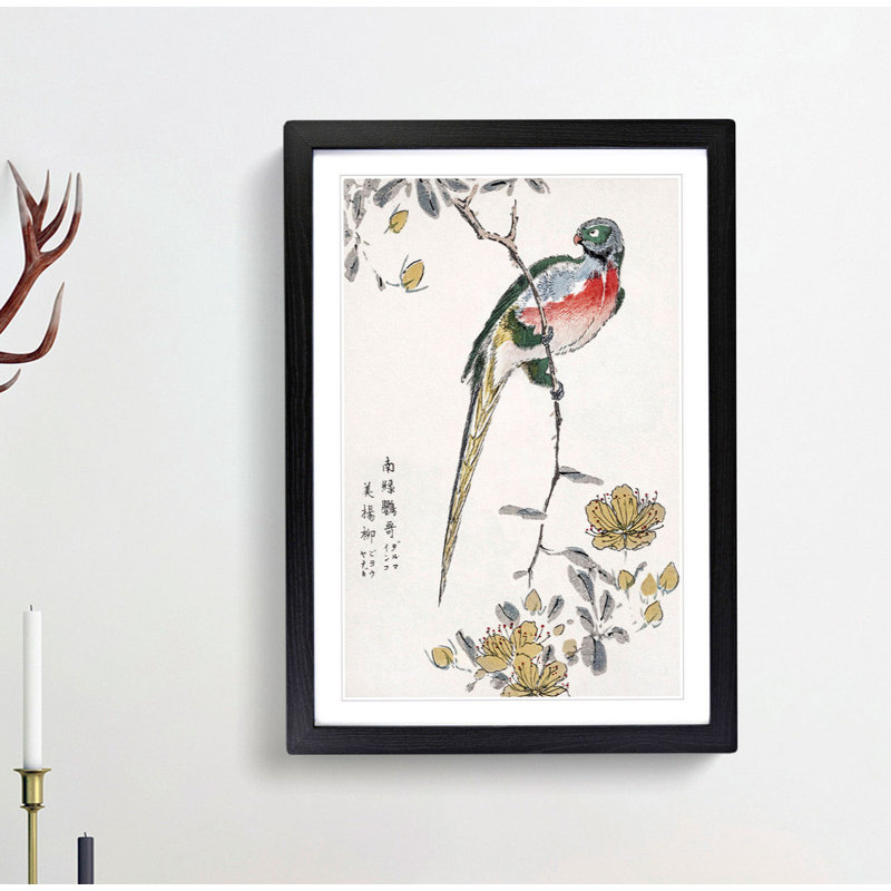 Macaw & Drooping Peach by Numata Kashu - Picture Frame Painting Print, Black, 50cm H x 35cm W x 2cm D