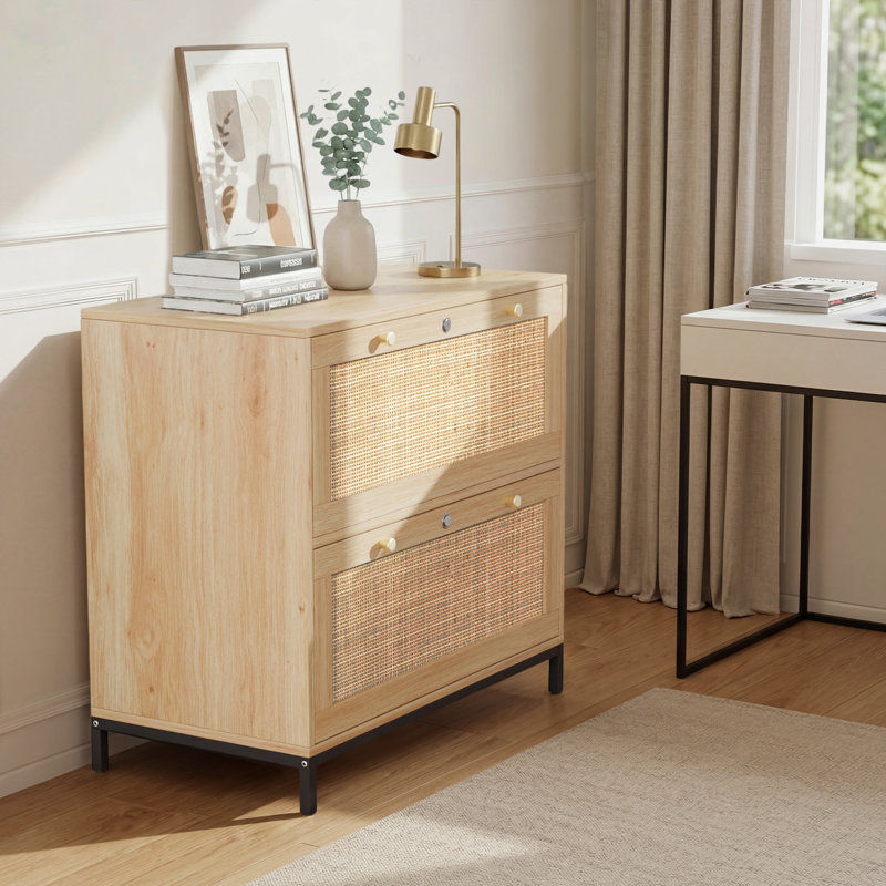 Classeur latéral à 2 tiroirs en bois d'ingénierie l 29,5 po Blasko, Beige