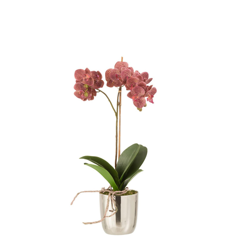 50 cm H Faux Plant in Cement Pot