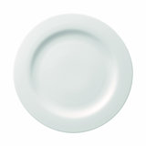 Moon Porcelain Dinner Plate