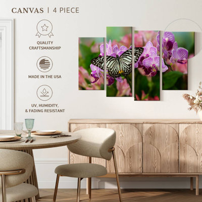 Malayan Zebra Butterfly