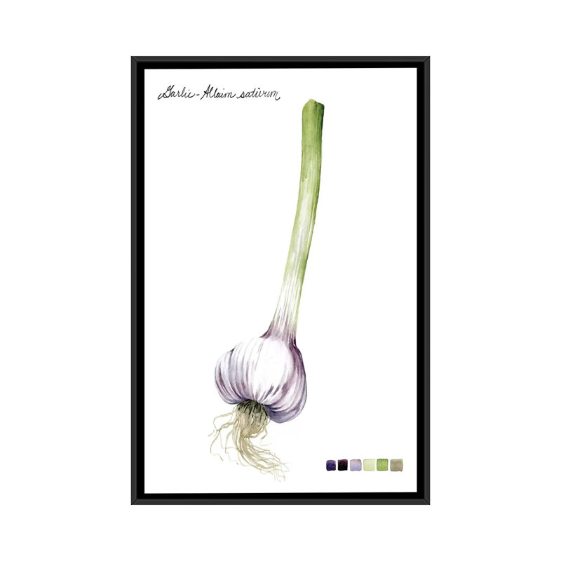 «Root Légume I», impression sur toile, H 26 po x l 18 po x P 1,5 po, Toile avec cadre flottant noir, Pas de tapis