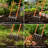 5 Tines Broadfork Fork Garden Tool, Steel Digging Fork, 51cm Working Width, 36cm Tine Length, Ergonomic No Bend Broad Fork For Deep Soil Loosening Aeration, No Dig Garden Spading Cultivator For Vegetable Beds, Backyard Farm Soil Preparation