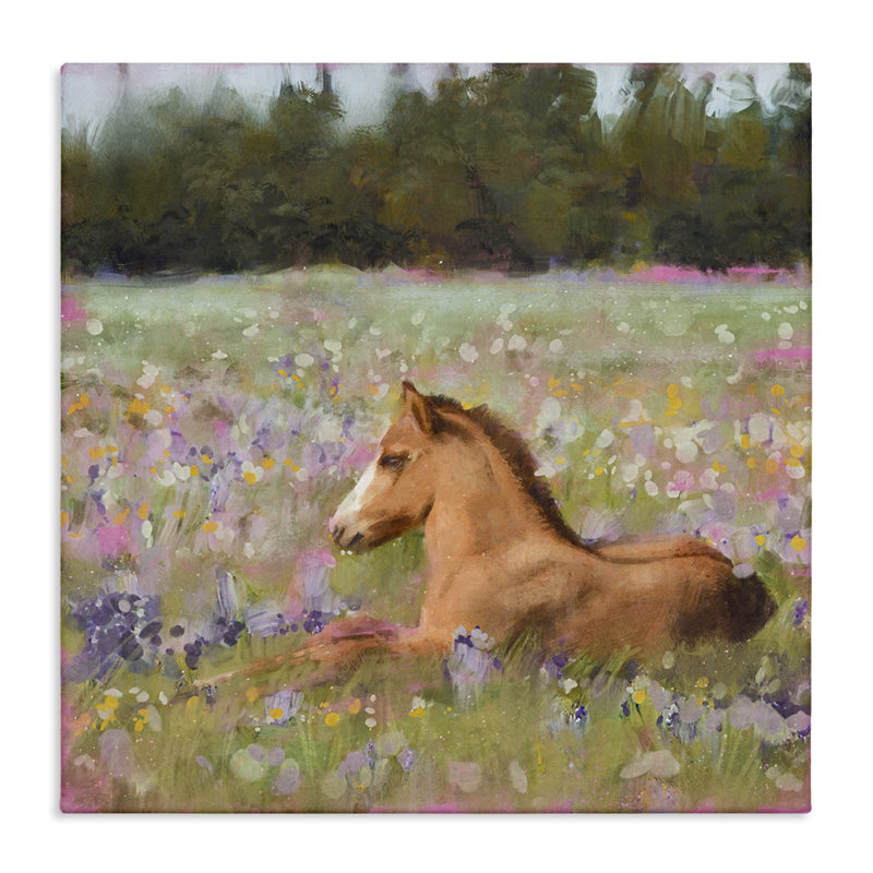 Foal Horse Lounging in Flower Meadow Canvas Art