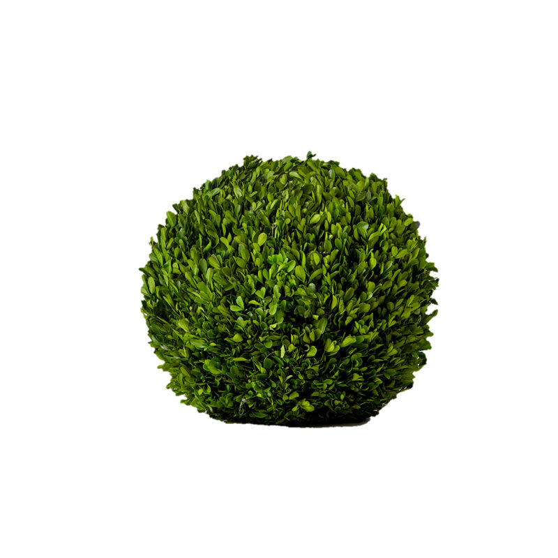 Gracie 12 " H Faux Boxwood Topiary