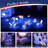 Gieselind 120'' LED String Lights