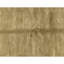 Hand Knotted Area Rug in Gold