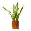 7.8 In. Dark Wood Plastic Self-Watering Planter Pot