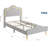Twin Size Bed Frame with Adjustable LED Headboard and Footboard Velvet Upholstered Princess Platform Bedframe for Kids Girls Wooden Slats Support No Box Spring Needed Gray-682560431-682560430