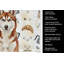 Serviette de cuisine rouge et blanche Husky-1234934511
