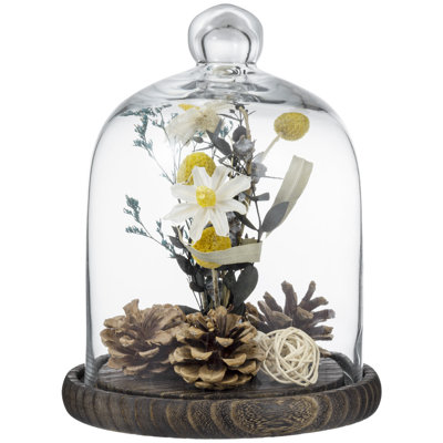 Vidu Display Clear Cloche with Wood Base
