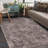 Sarina Indoor Rug-36558249