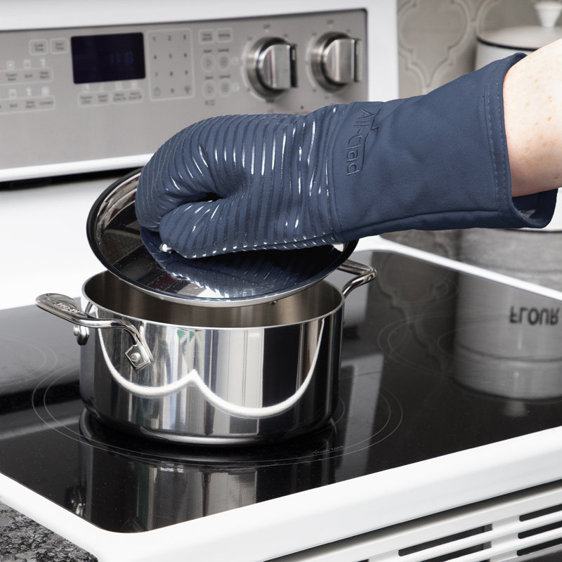 Indigo Silicone Heat-Resistant Oven Mitts Set