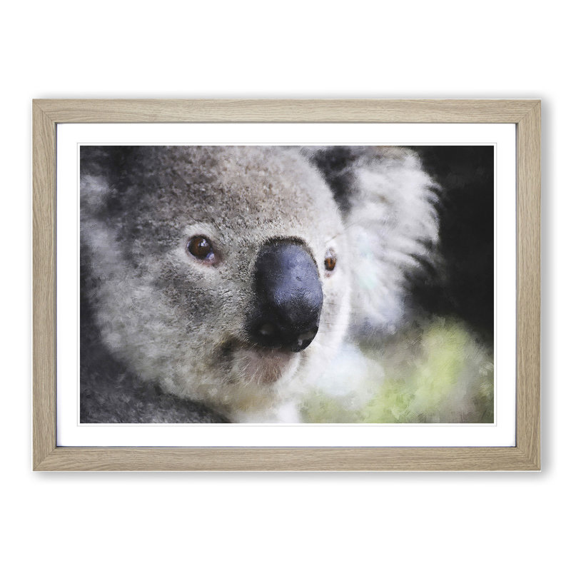 Koala Bear Vol.2 - Framed Print, Oak Framed, 27cm H x 36cm W x 2cm D
