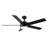 Ceiling Fan with LED Lights with Light Kit