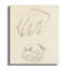 Hardee Wrapped Canvas Print Set-908570846